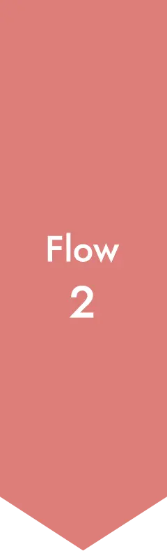 Flow2