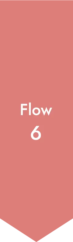 Flow6